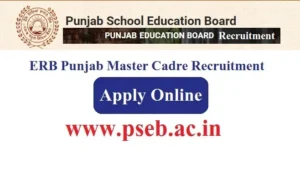 Punjab-Education-Recruitment-Board-2024